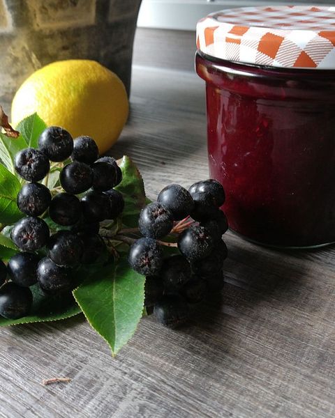 Aronia Rezepte Chefkoch