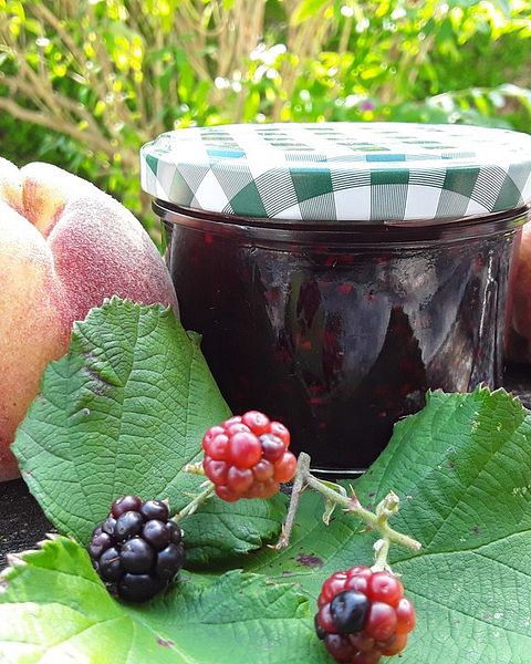 Brombeermarmelade Rezepte Chefkoch