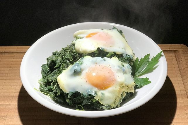 Gr Ne Shakshuka Mit Spinat Von Sessm Chefkoch