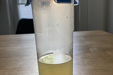 Limetten Minze Sirup Von Felix Kuehl Chefkoch