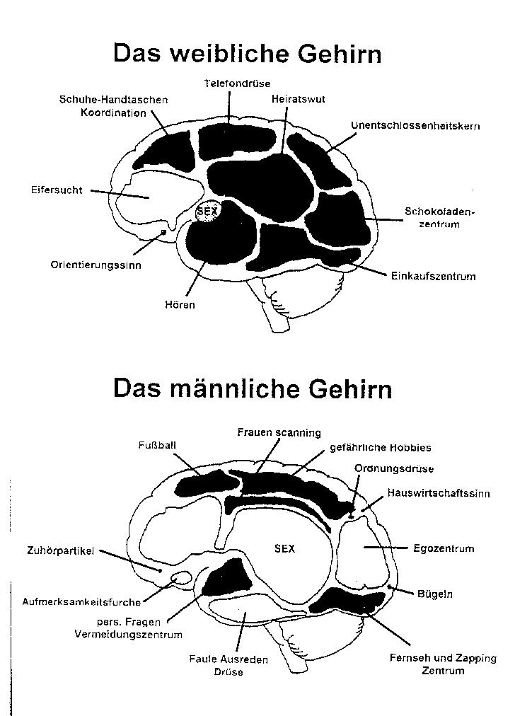 Unterschiede mannfrau kommunikation