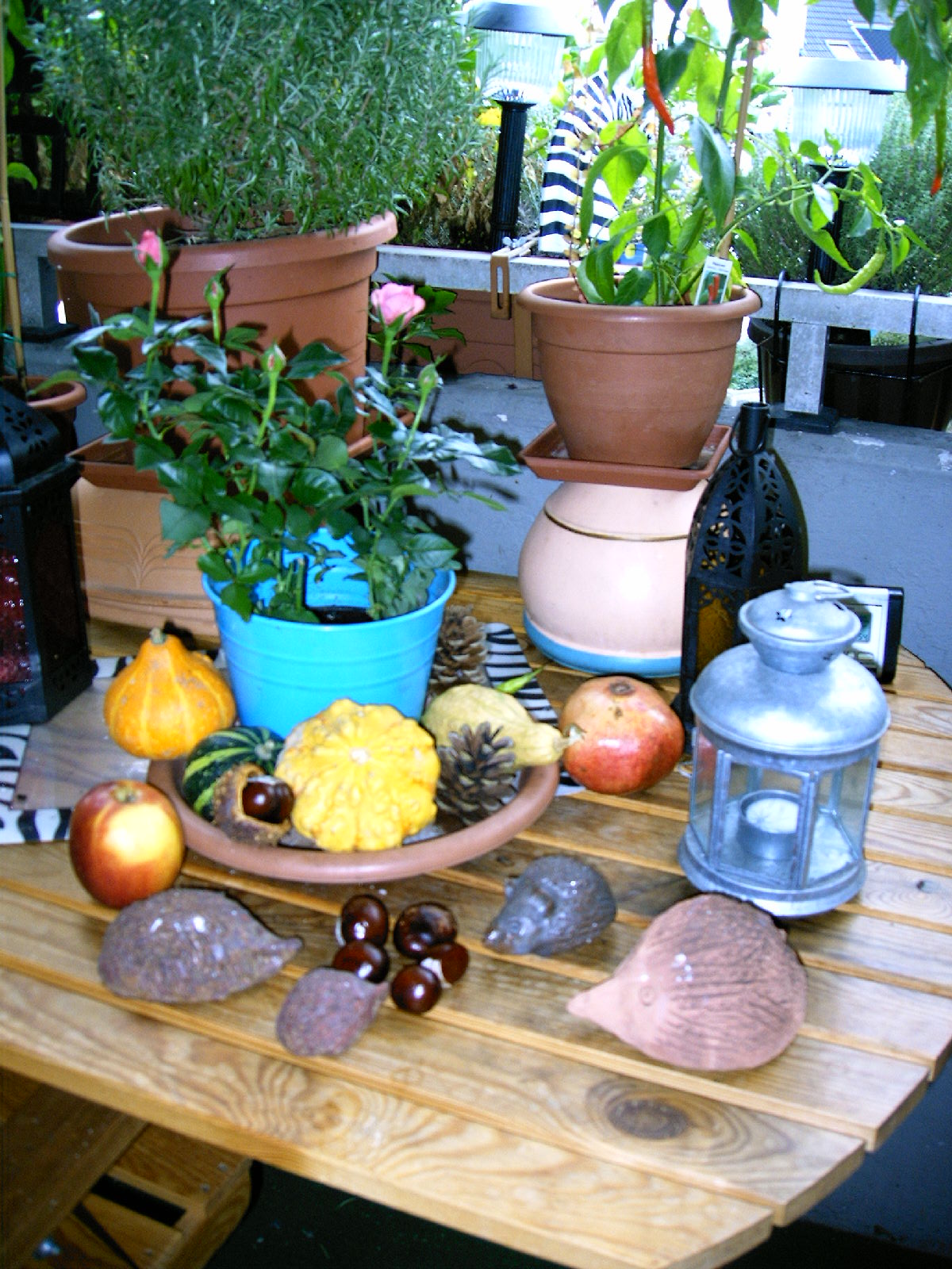 Herbstdeko auf dem Balkon Haus & Garten Forum Chefkoch.de