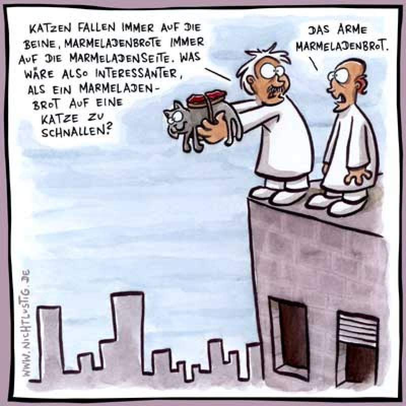 Faszinierende Katzen Hund Katze Maus Forum Chefkoch De