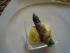 In Peperoncini-Pancetta gebratenen grünen Spargel auf Blumenkohl-Pfirsich-Mus
