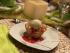 Dessert: Rhabarber-Blätterteigtörtchen mit Vanilleeis