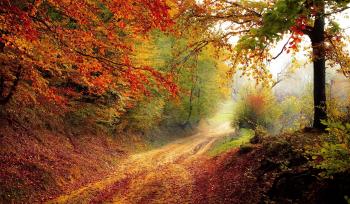 full_5f790cdfb3145_road-1072823_1920.jpg