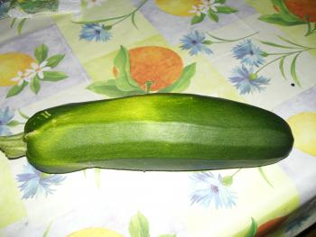 die erste selbstangebaute Zucchini 27cm lang