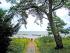 Blick aufs Meer (Ruegen)