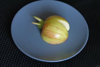 Apfelkäfer