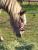 full_20121021_163332.jpg