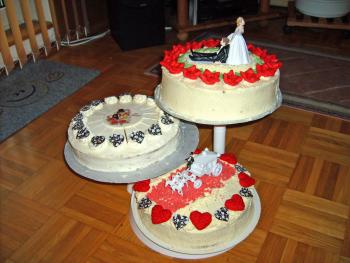 Mein erster Versuch:3 stöckige Torte zur Hochzeit meiner Nichte am 28.12.2006