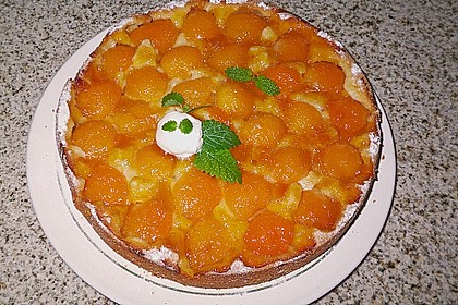Aprikosenkuchen mit Nüssen (Bild)