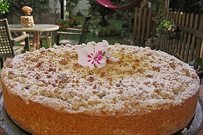 Kirsch-Himbeer-Kuchen mit Kokosstreuseln (Bild)