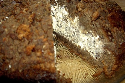 Kolshorner Moortorte (Bild)