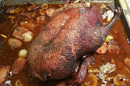 Weihnachts - Ente (Bild)