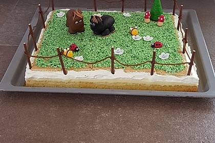 Butterkekskuchen 31