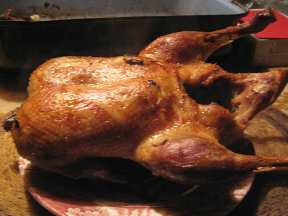 Entenbraten mit Gelinggarantie von cappu56 | Chefkoch Entenbraten mit Gelinggarantie von cappu56 | Chefkoch