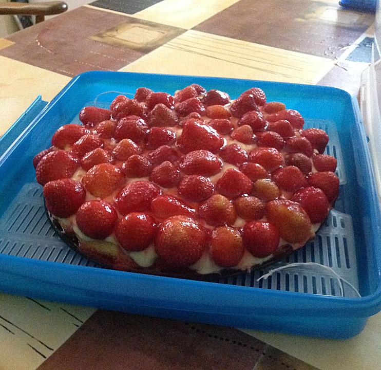 Wiener Boden, Tortenboden, Obstboden, Obstkuchen von Laryhla | Chefkoch