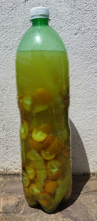 Kumquats-Zitronen-Likör von NaomiK | Chefkoch Kumquats-Zitronen-Likör von NaomiK | Chefkoch