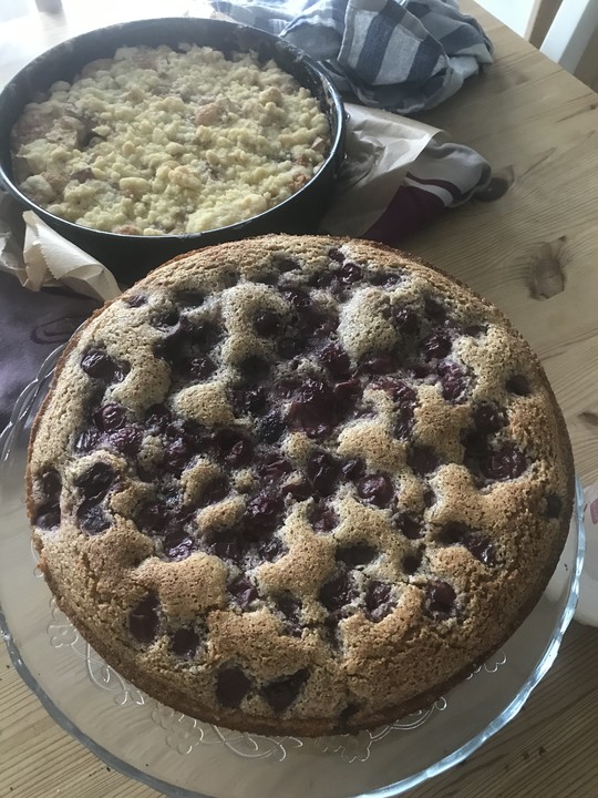 Veganer Zwetschgen-Grieß-Nuss-Kuchen von tria-lin | Chefkoch