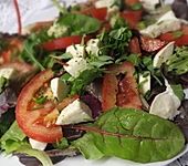 Blattsalat mit Tomate und Mozzarella (Bild)