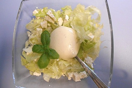 Joghurt-Honig-Senf-Salatsoße (Bild)