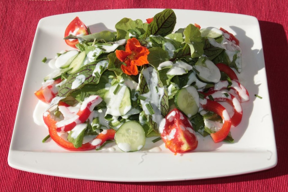 Bunter Zichorie-Wildkräuter-Salat mit Zitronen-Joghurt-Dressing von ...