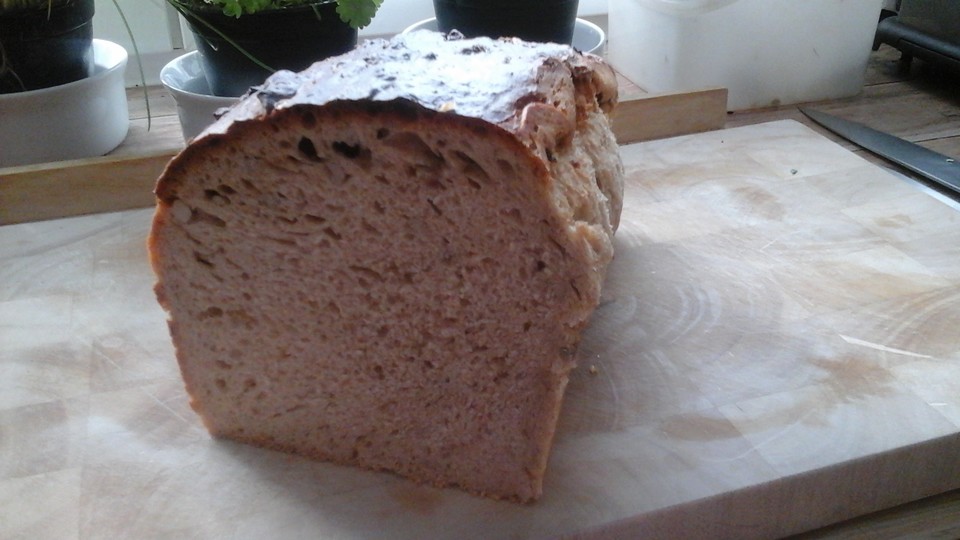 Zwiebel-Speck-Brot mit Sauerteig von japsy | Chefkoch