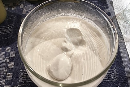 Kokosjoghurt selbstgemacht (Bild)
