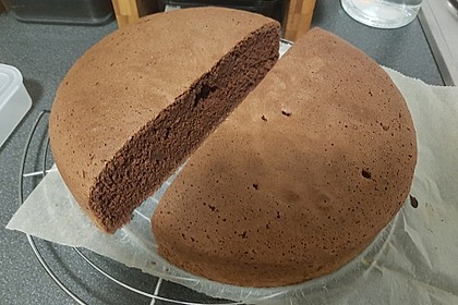 Biskuitteig hell oder dunkel 31