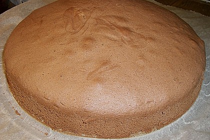 Biskuitteig hell oder dunkel 223