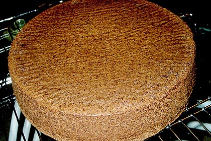 Biskuitteig hell oder dunkel 221