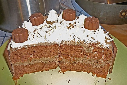 Biskuitteig hell oder dunkel 236