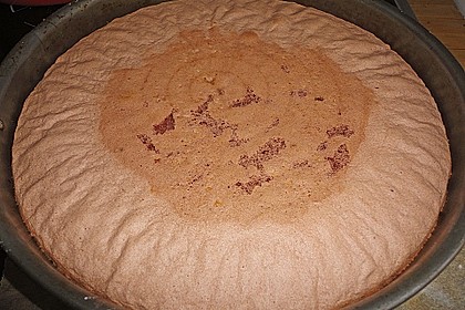 Biskuitteig hell oder dunkel 364