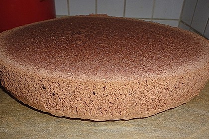 Biskuitteig hell oder dunkel 233