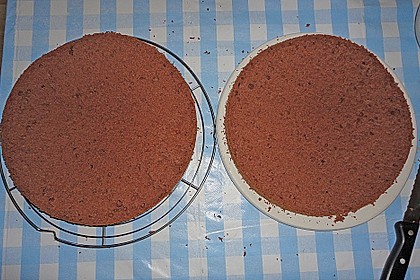 Biskuitteig hell oder dunkel 224