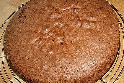 Biskuitteig hell oder dunkel 302