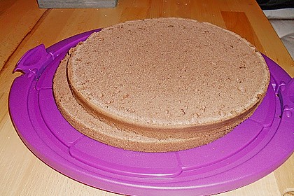 Biskuitteig hell oder dunkel 220