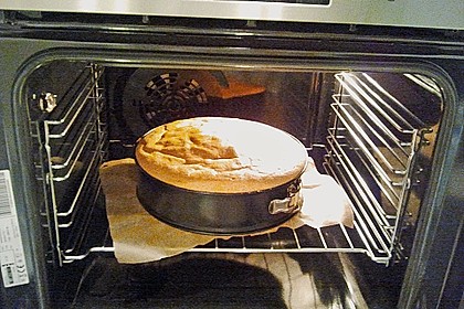 Biskuitteig hell oder dunkel 268