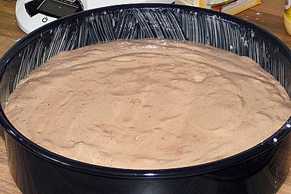 Biskuitteig hell oder dunkel 356
