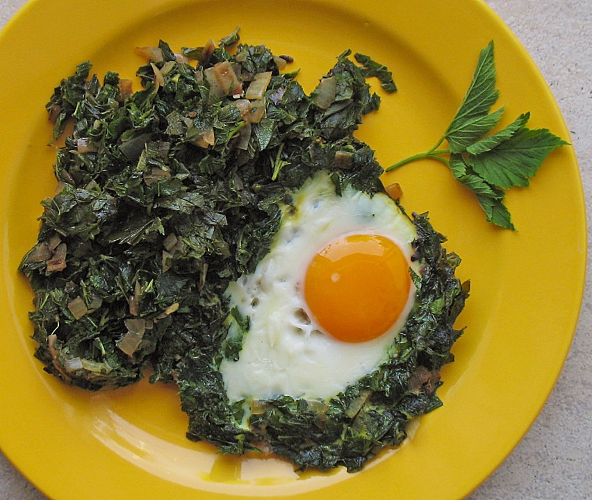 Giersch mit Kartoffelschnee und Ei