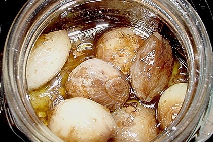 Silberzwiebeln in Honigmarinade (Bild)