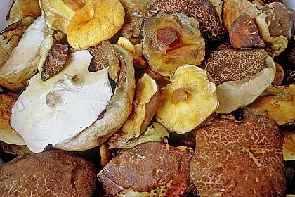 Waldpilze, mariniert und in Öl eingelegt (Bild)