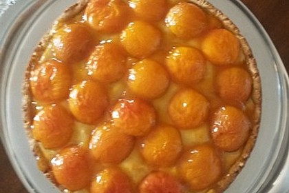 Aprikosen - Marzipan Kuchen (Bild)