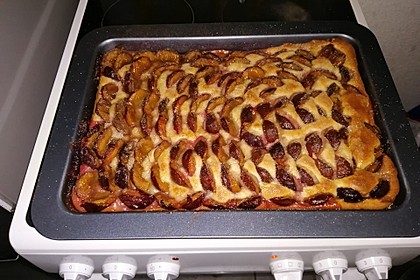 Zwetschgenkuchen auf dem Blech (Bild)
