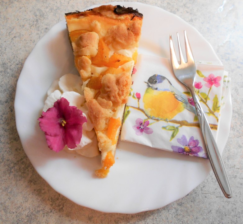 Schneller Quark-Streuselkuchen mit Obst von lametti | Chefkoch