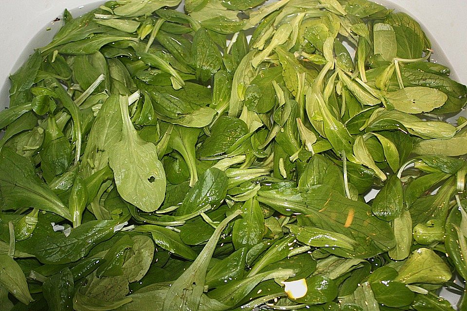 Feldsalat