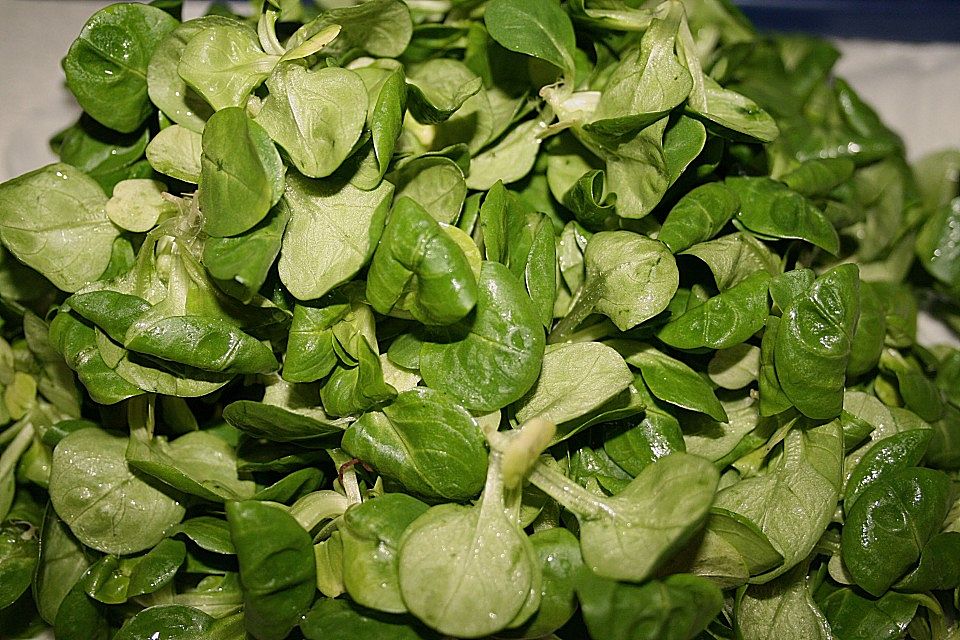 Feldsalat