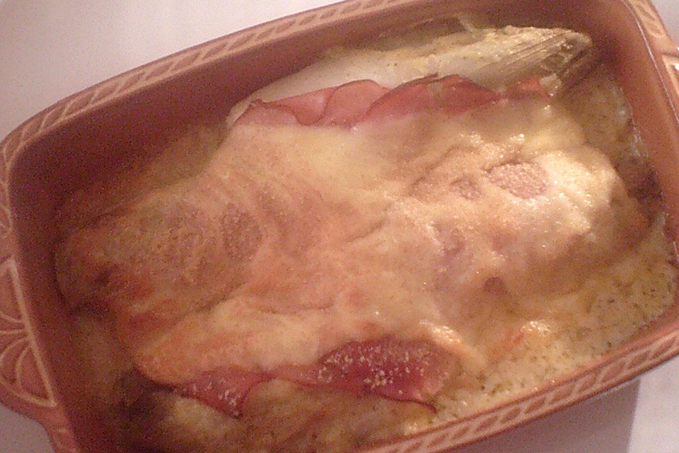 Chicoree - Gratin mit Käse und Schinken