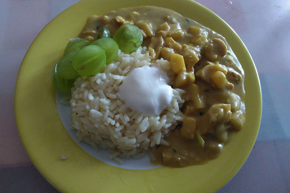 Puten - Apfel Curry